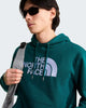 Felpa con cappuccio TNF™ Essential Drew Peak Regular da uomo art. NF0A8FDA col. Pacific Teal