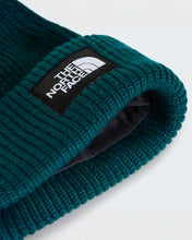 Carica l'immagine nel visualizzatore di Gallery, THE NORTH FACE Berretto Salty Lined art. NF0A8CGZ
