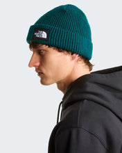 Carica l'immagine nel visualizzatore di Gallery, THE NORTH FACE Berretto Salty Lined art. NF0A8CGZ
