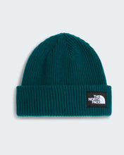 Carica l'immagine nel visualizzatore di Gallery, THE NORTH FACE Berretto Salty Lined art. NF0A8CGZ
