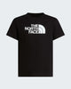 THE NORTH FACE T-shirt Evolution Half Dome da ragazzi art.  NF0A8CZ8