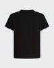 THE NORTH FACE T-shirt Evolution Half Dome da ragazzi art.  NF0A8CZ8