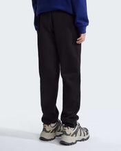 Carica l'immagine nel visualizzatore di Gallery, THE NORTH FACE Joggers Evolution Simple Dome da ragazzi art.  NF0A8CVD col. TNF Black
