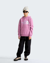 Carica l'immagine nel visualizzatore di Gallery, THE NORTH FACE Felpa con cappuccio TNF™ Essential Drew Peak da ragazzi art. NF0A8H3YG6E col. Hushed Lavender
