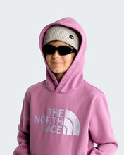 Carica l'immagine nel visualizzatore di Gallery, THE NORTH FACE Felpa con cappuccio TNF™ Essential Drew Peak da ragazzi art. NF0A8H3YG6E col. Hushed Lavender
