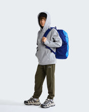 Carica l'immagine nel visualizzatore di Gallery, THE NORTH FACE Felpa con cappuccio TNF™ Essential Drew Peak da ragazzi art. NF0A8H3YCQO col. TNF Pale Grey Heather
