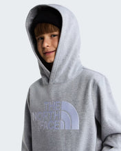 Carica l'immagine nel visualizzatore di Gallery, THE NORTH FACE Felpa con cappuccio TNF™ Essential Drew Peak da ragazzi art. NF0A8H3YCQO col. TNF Pale Grey Heather
