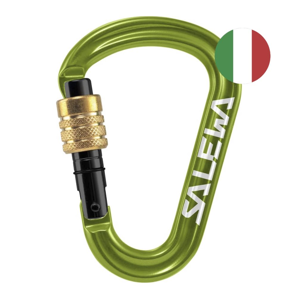 SALEWA HMS PRO Carabiner, Moschettone con Vite in Ottone Unisex Adulto