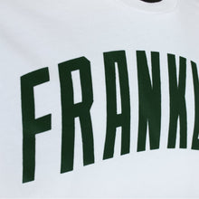 Carica l&#39;immagine nel visualizzatore di Gallery, Franklin and Marshall T-SHIRT GIROCOLLO (XL)
