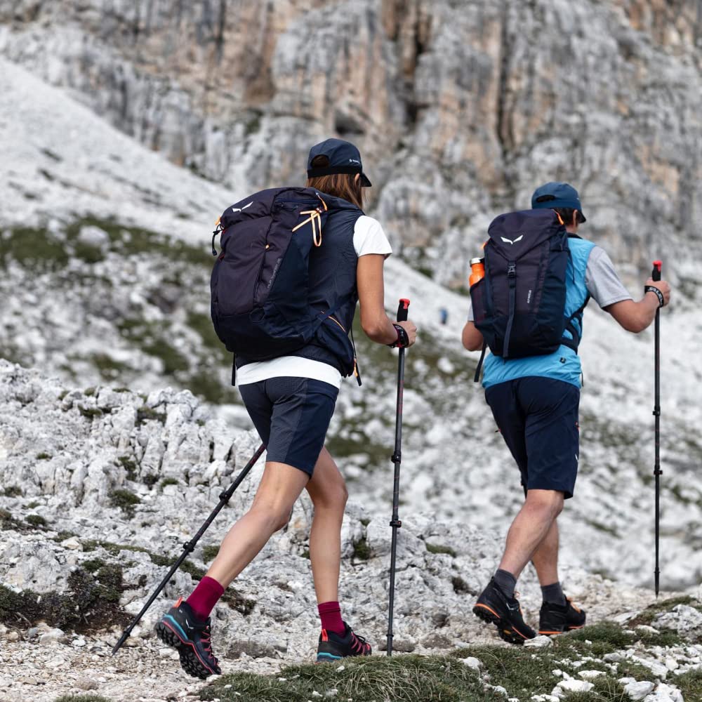 SALEWA Iseo Dry M Shorts Pantaloncini da Trekking Uomo