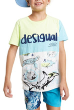 Carica l&#39;immagine nel visualizzatore di Gallery, Desigual t-Shirt Cotone Bambino Multicolor TS George
