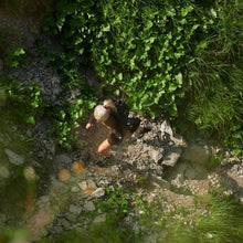 Carica l&#39;immagine nel visualizzatore di Gallery, Mammut Aenergy Light So-Pantaloncini da Donna Escursionismo
