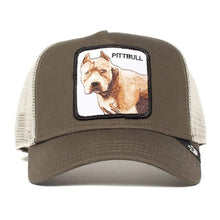 Carica l&#39;immagine nel visualizzatore di Gallery, Goorin Bros. cappello pit bull verde militare
