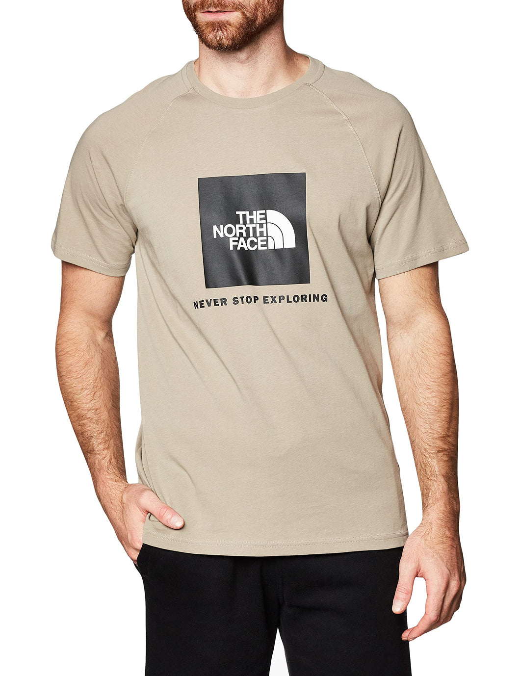 The North Face Raglan Redbox T-Shirt Uomo Black Box Logo - Mineral Grey (S)